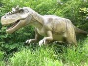 poporon̂܃fBmp[N̓eʐ^1