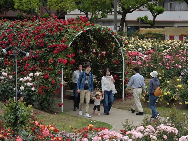 �W�����@���H�v����Ă���_�΂�����̂΂�