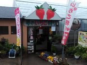 肻Ȃ̔O[vK[fyz̓eʐ^1