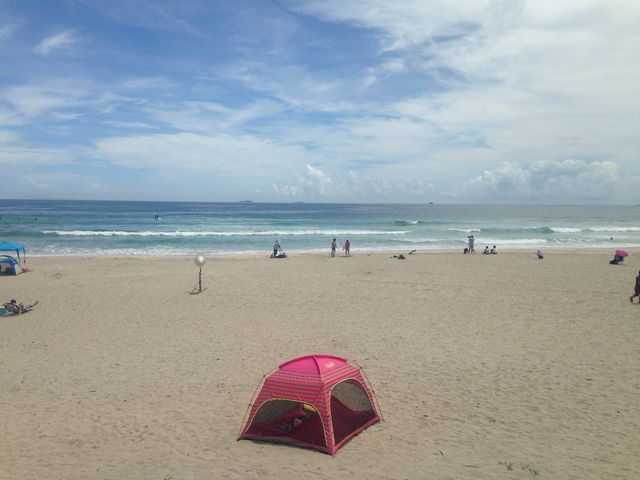 ������͎������̈ꖇ_rine surf