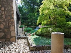 |bṽVFgszeւ̓eʐ^1