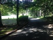 傳̖@򎛒뉀̓eʐ^1