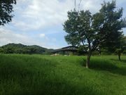 傳̂̂т̂уp[NV[̓eʐ^1