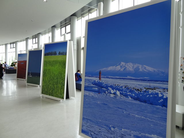 ��K�@�傫�Ȏʐ^�p�l���W��_�V�s�R�W�]��