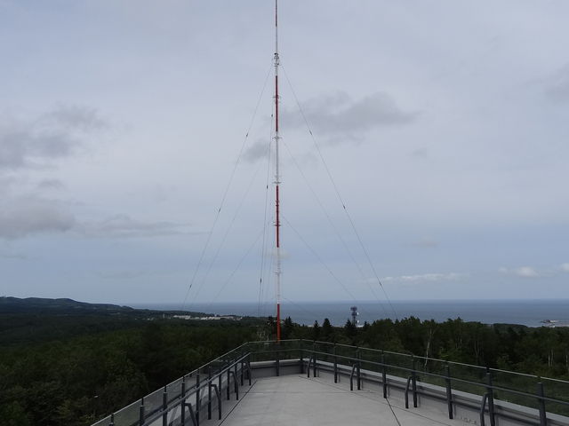 �W�]��̉E���@�����d�g��_�V�s�R�W�]��