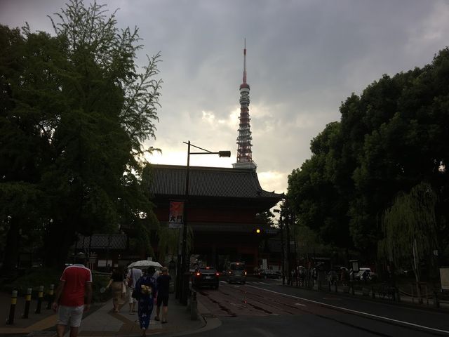 �[���ɎB��܂���_�Ō����y�ё��㎛�����̍�