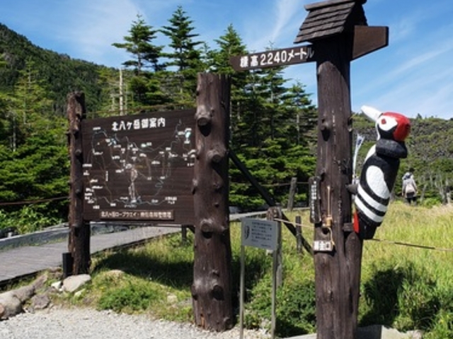 znIW̖kxRx{т̓eʐ^1