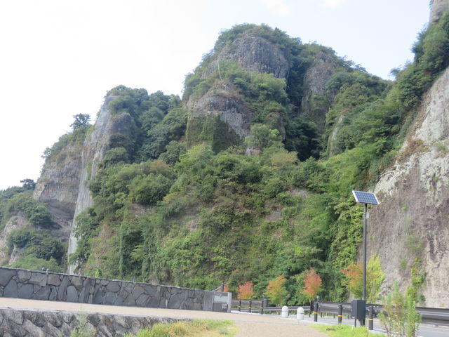 Ԃ񂳂̋G߂莩R̓eʐ^2