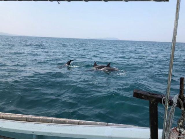 �D�̂��΂ŉj���C���J_�V���ό��C���J�E�H�b�`���O �h���t�B���N���[�Y