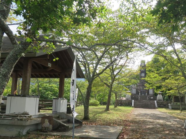 �Ԃ���񂳂�̔��ď隬�i���c��Ձj�̓��e�ʐ^2