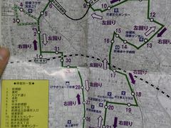 邪񂳂̃}CoXւ̓eʐ^2