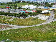 llȎ܂܃V[TChp[Nւ̓eʐ^3