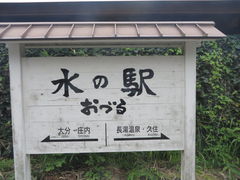 �Ԃ���񂳂�̏��×��N���ւ̓��e�ʐ^1