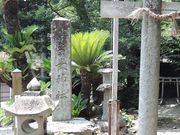 tos����̕x����Ղ̓��e�ʐ^1