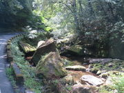 Ԃ񂳂́y݉^sx~ziEn߂̓eʐ^4