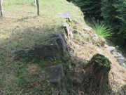 �Ԃ���񂳂�̔��ď隬�i���c��Ձj�̓��e�ʐ^1