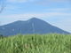 花ちゃんさんの涌蓋山（玖珠富士）の投稿写真1