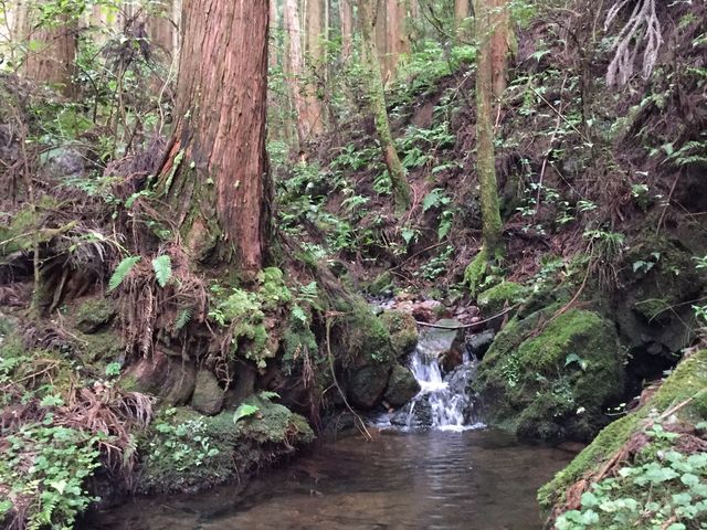 terra@rossa̓V_R̓eʐ^3