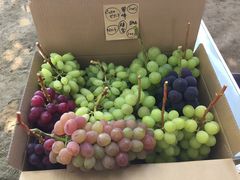 ܂񂭂񂳂̐ԍ≀ւ̓eʐ^1