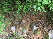 terra@rossa̓V_R̓eʐ^1