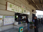 Ђ낳̐_oόԂǂ̓eʐ^1