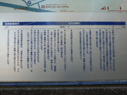 ayukononi����̔n�����m�������W�����̓��e�ʐ^2