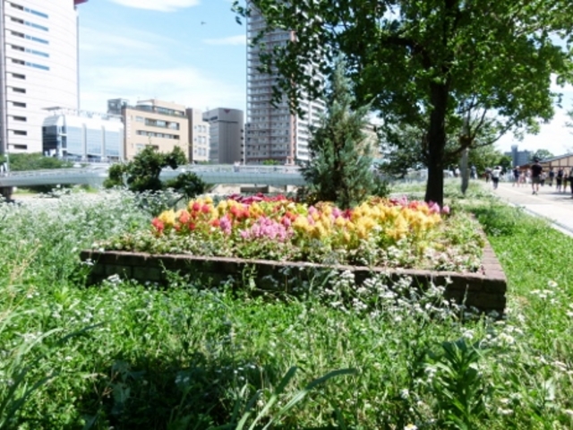 �{�ݓ��̌���_���o�[�E�H�[�N�k��B