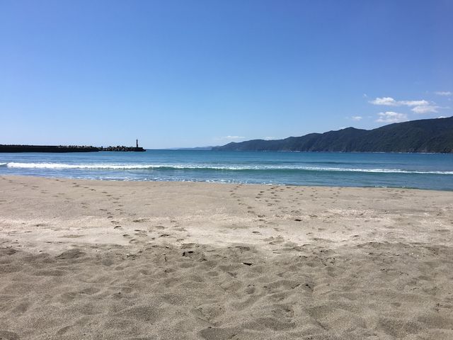 �S�i_���ÊC������