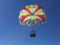 ̂̃XJCEH[J[ւ̓eʐ^1