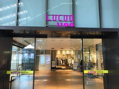 topologyLUCUA 1100ւ̓eʐ^1