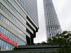 ͂񂳂̓\}`ւ̓eʐ^1