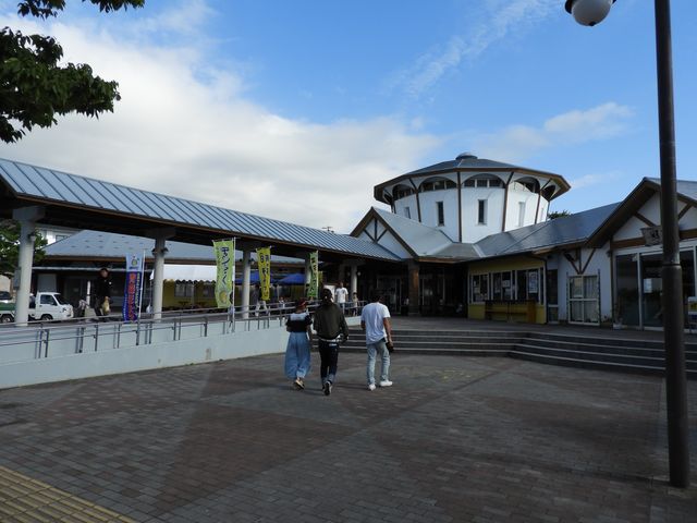 ���̉w�@���l_���l���̍؂̉Ԕ�