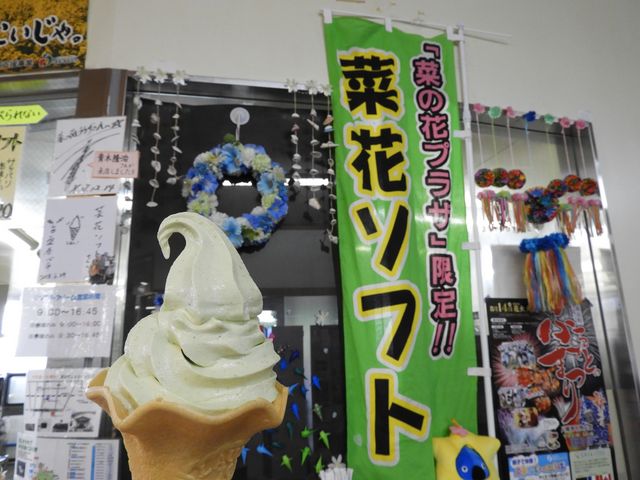 �؉ԃ\�t�g�@�������������B_���l���̍؂̉Ԕ�