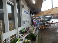 Ђ낳̐䐅̏hwւ̓eʐ^1