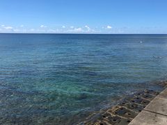 ݂Kofa@and PuPuւ̓eʐ^1