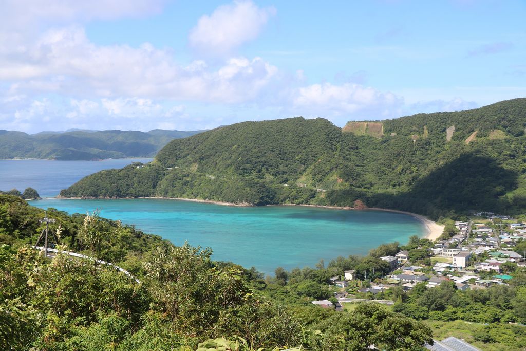 びじん大島 織物 青系 緑系 自然風景（お客様の声｜京都着物さくら）