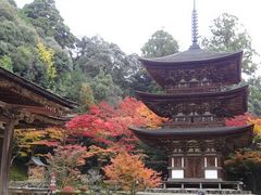 キヨさんの西明寺三重塔への投稿写真1