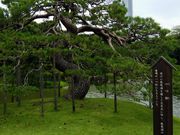 ͂񂳂̈iΐyj̓eʐ^1