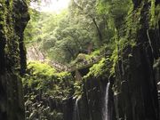 �V�g������̍���䎩�R�����̓��e�ʐ^1