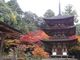 キヨさんの西明寺三重塔の投稿写真1