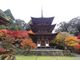 キヨさんの西明寺三重塔への投稿写真2