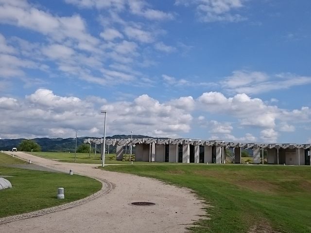 �傫�Ȍ���_���c�}��L�����