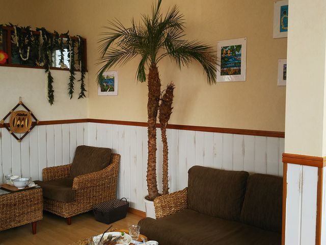 sL[̃RiERiEJtF V{nX̓eʐ^1