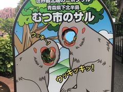 Ă΂܂܂̏쓮 TRւ̓eʐ^1