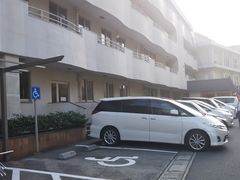 ߋT|~̂܂͐Hقւ̓eʐ^1