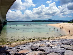 ^񂳂̌ÉFr[`ւ̓eʐ^1