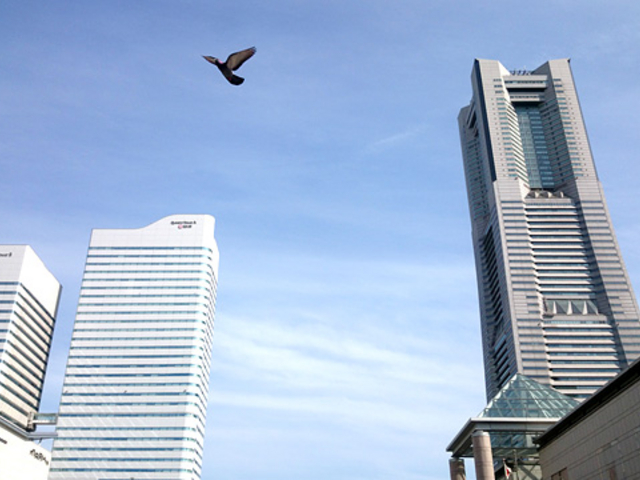 横浜美術館前の広場からの景色_横浜美術館