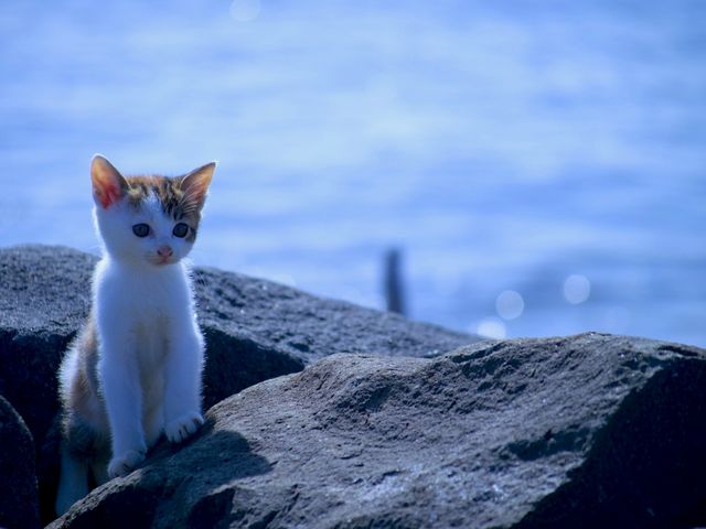 城南島海浜公園】アクセス・営業時間・料金情報 - じゃらんnet