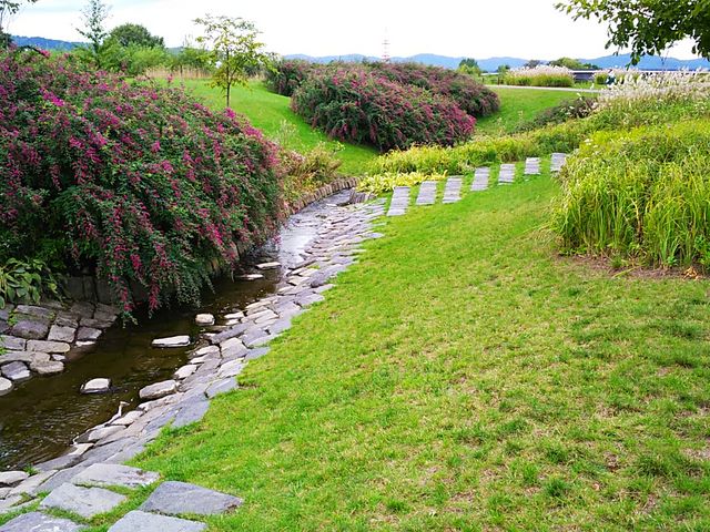 ���������Ă��܂�_�k�ʓs�K�[�f��