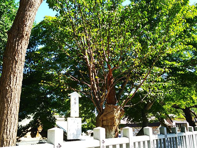 �܂�ĕ���������_���ٔ����{